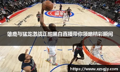 雄鹿与猛龙激战正酣黑白直播带你领略精彩瞬间